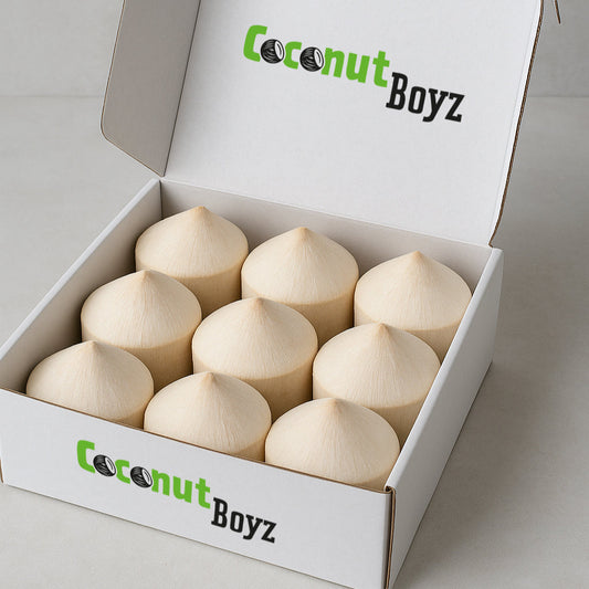 9 frische Trink - Kokosnüsse / 9 young fresh coconuts