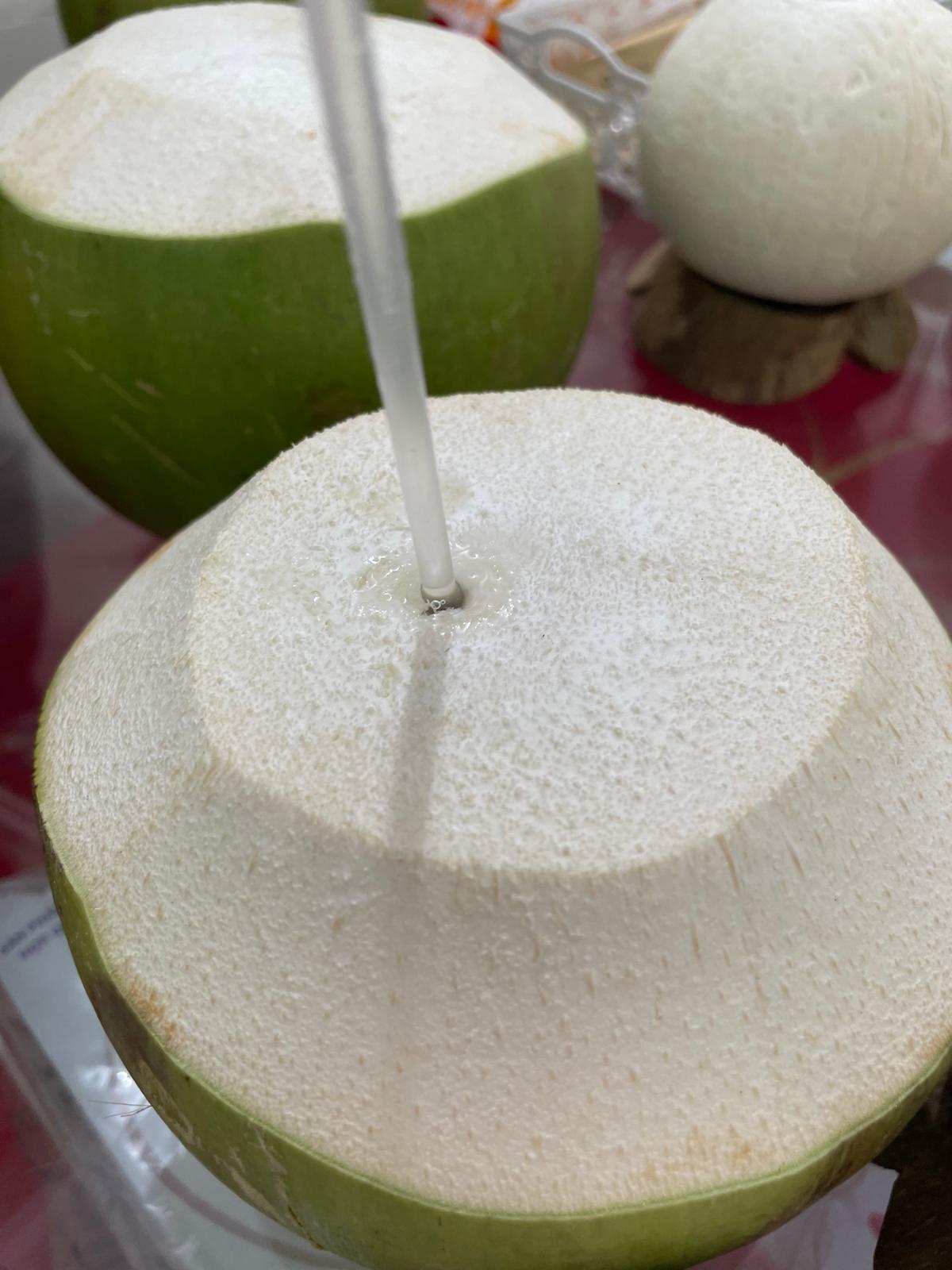 9 frische Trink - Kokosnüsse / 9 young fresh coconuts