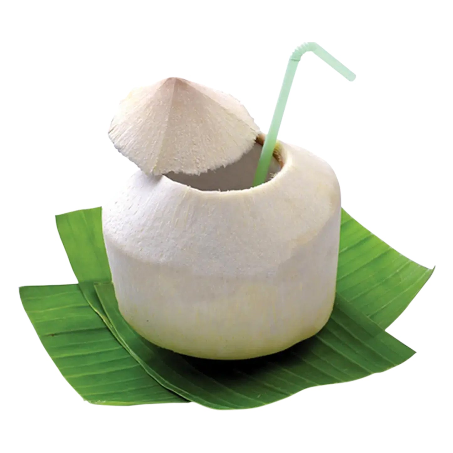 9 frische Trink - Kokosnüsse / 9 young fresh coconuts