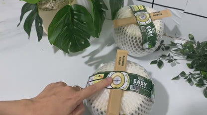 9 frische Trink - Kokosnüsse / 9 young fresh coconuts